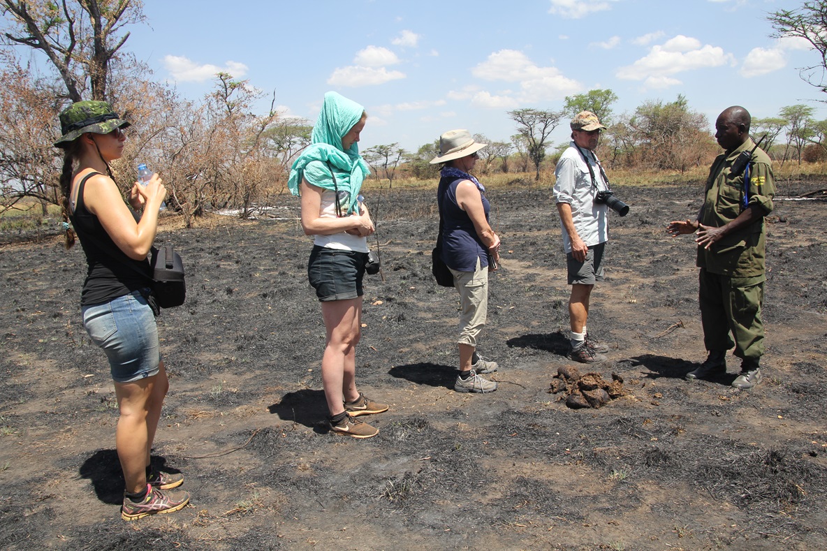 mountain hiking safaris